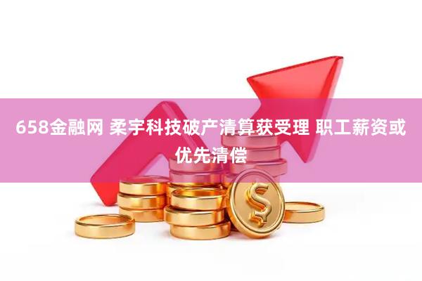 658金融网 柔宇科技破产清算获受理 职工薪资或优先清偿
